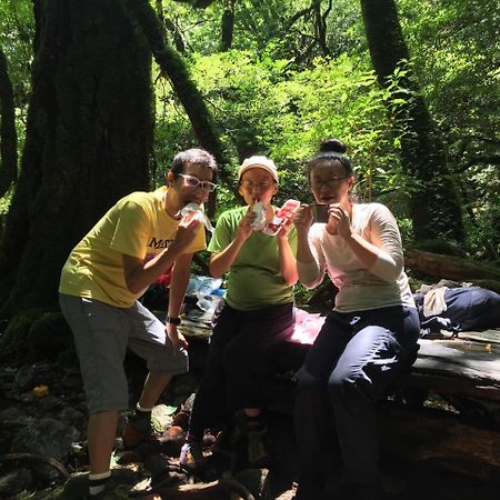 Yakushima Youth Hostel Luaran gambar