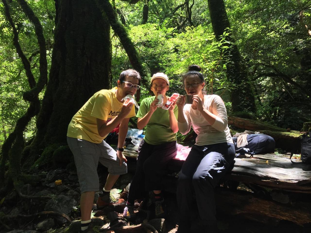 Yakushima Youth Hostel Luaran gambar